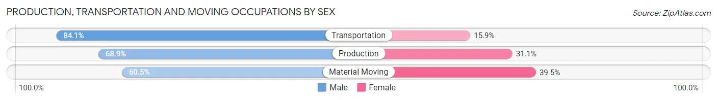 Production, Transportation and Moving Occupations by Sex in Zip Code 31503