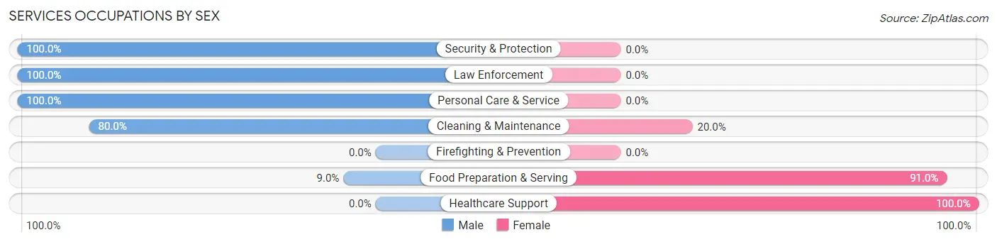 Services Occupations by Sex in Zip Code 31542