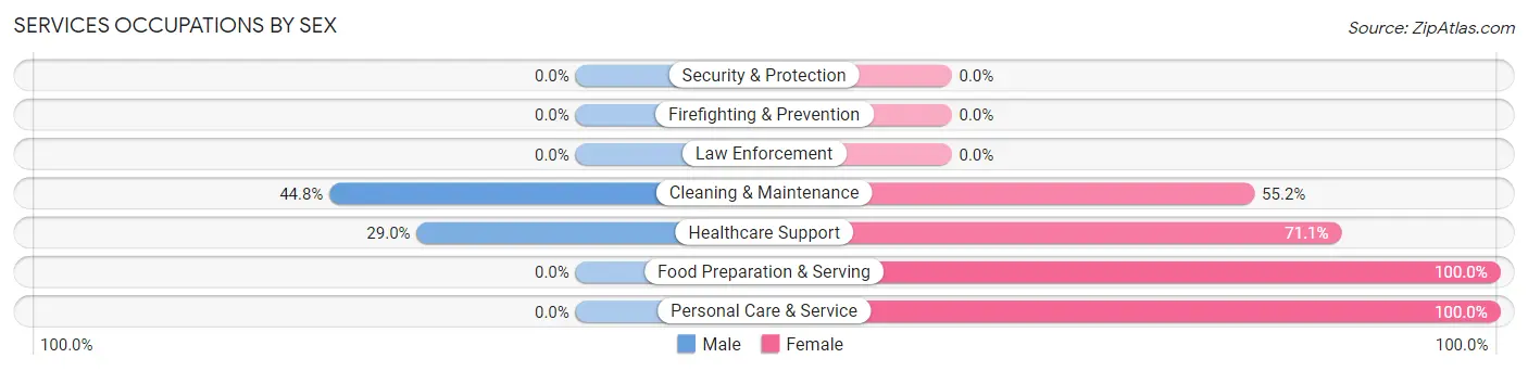 Services Occupations by Sex in Zip Code 31647