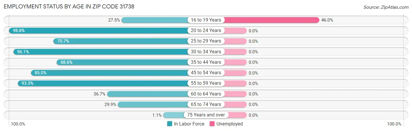 Employment Status by Age in Zip Code 31738