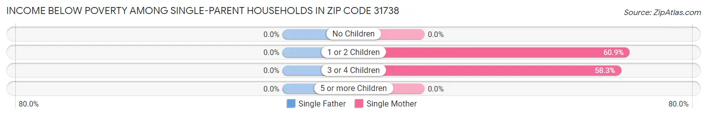 Income Below Poverty Among Single-Parent Households in Zip Code 31738