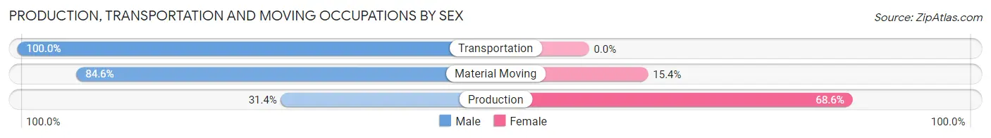 Production, Transportation and Moving Occupations by Sex in Zip Code 31738