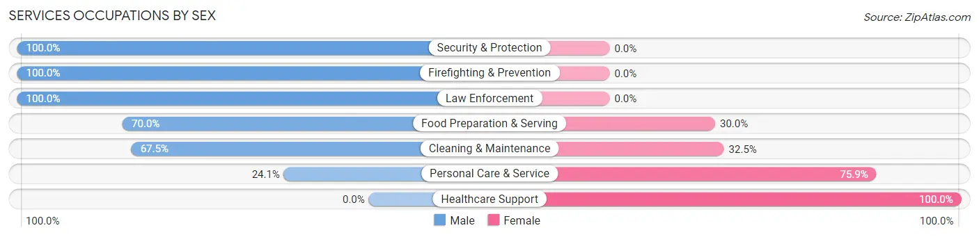 Services Occupations by Sex in Zip Code 31738