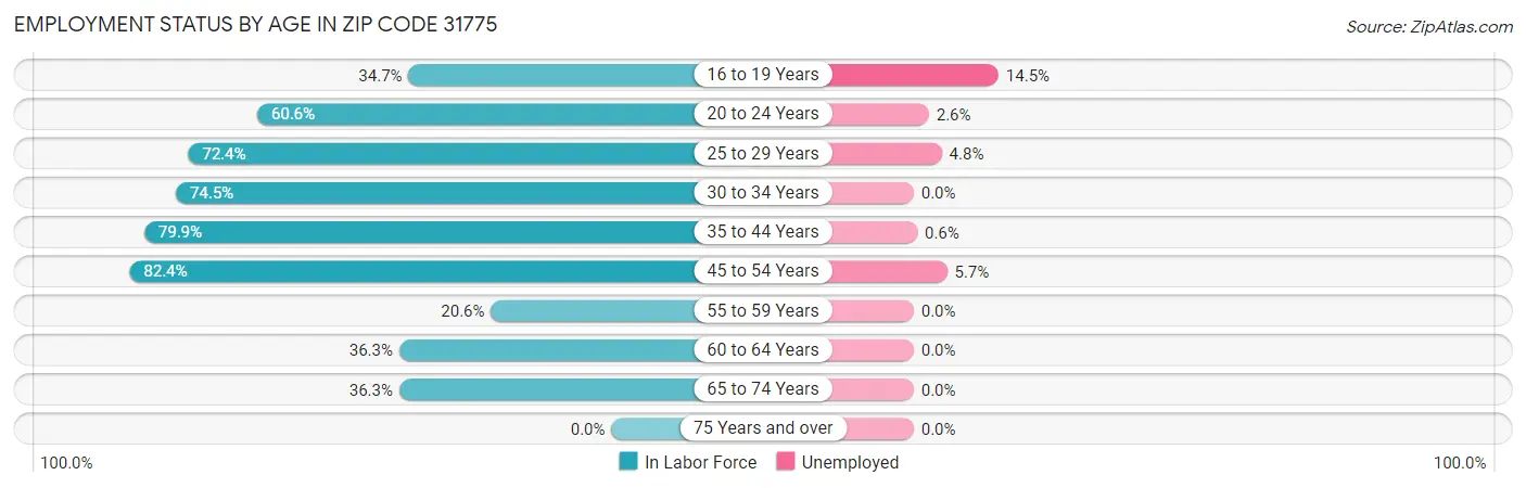 Employment Status by Age in Zip Code 31775