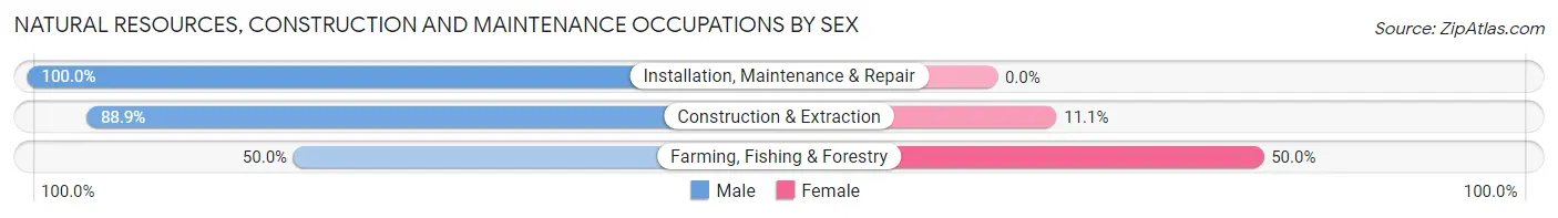 Natural Resources, Construction and Maintenance Occupations by Sex in Zip Code 31795
