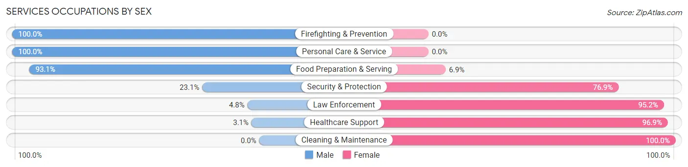 Services Occupations by Sex in Zip Code 31825