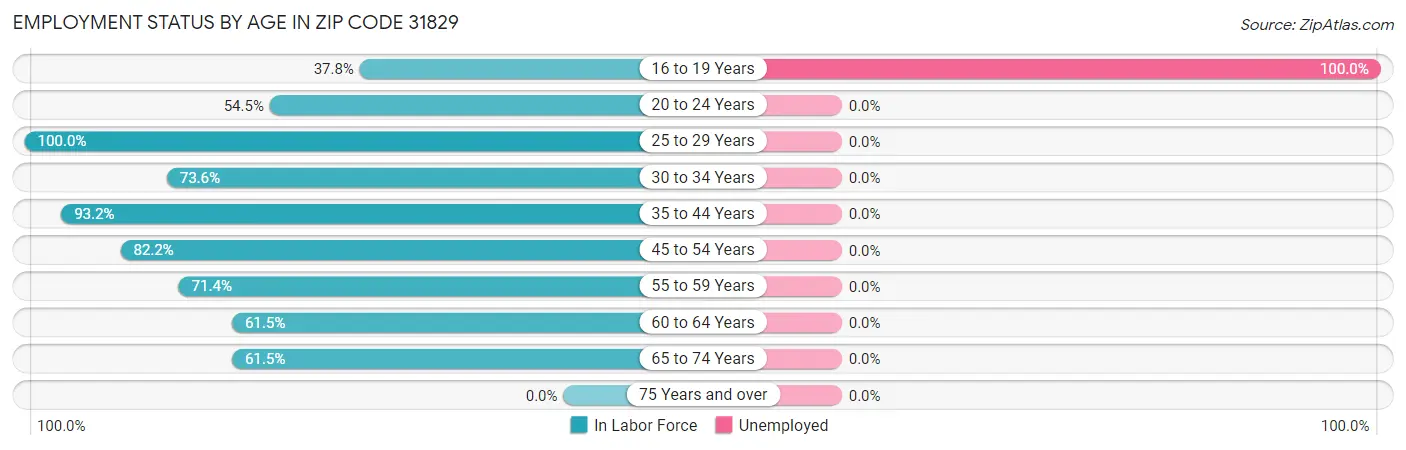 Employment Status by Age in Zip Code 31829