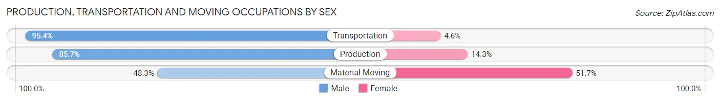 Production, Transportation and Moving Occupations by Sex in Zip Code 31904