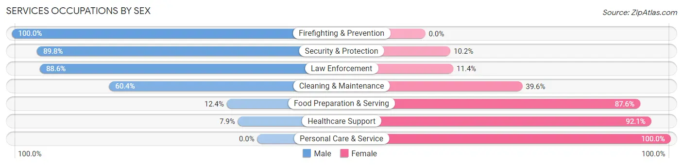 Services Occupations by Sex in Zip Code 32058