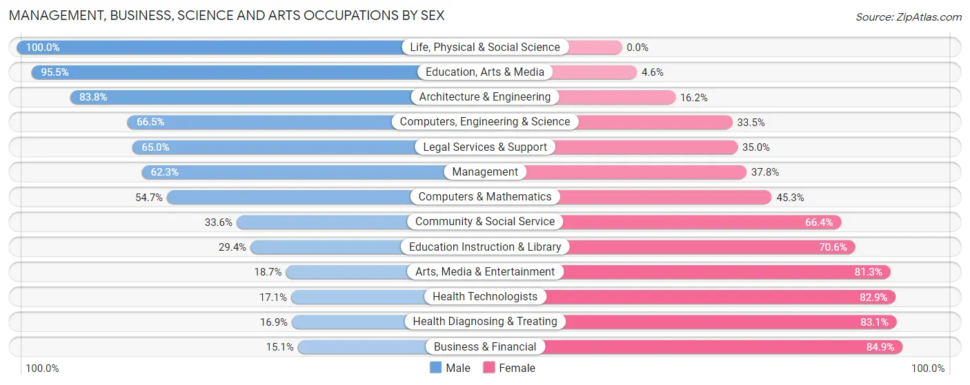 Management, Business, Science and Arts Occupations by Sex in Zip Code 32065