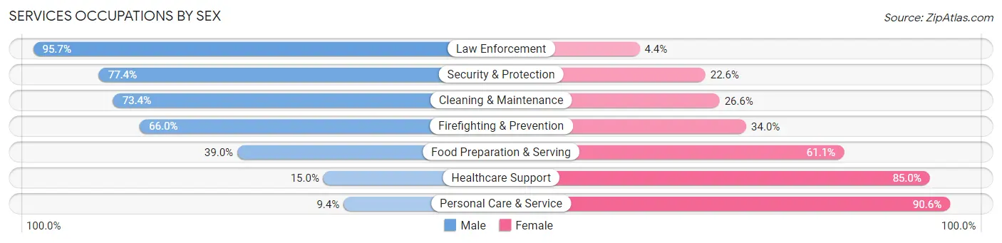 Services Occupations by Sex in Zip Code 32065