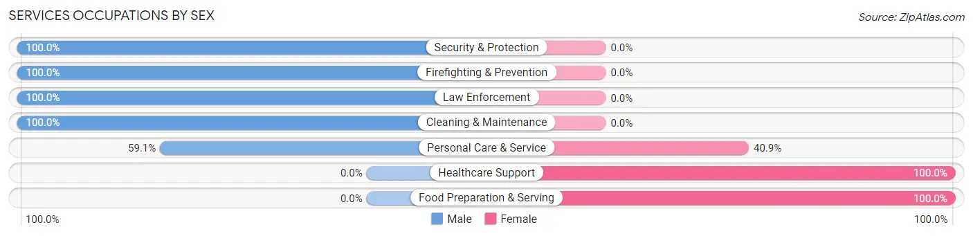 Services Occupations by Sex in Zip Code 32162