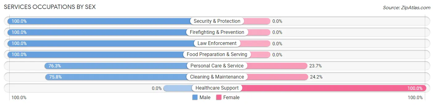 Services Occupations by Sex in Zip Code 32163