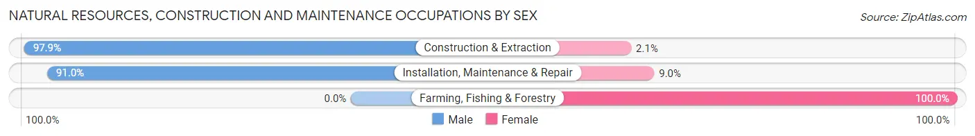 Natural Resources, Construction and Maintenance Occupations by Sex in Zip Code 32225