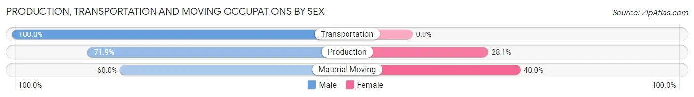 Production, Transportation and Moving Occupations by Sex in Zip Code 32258