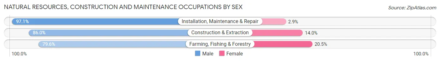 Natural Resources, Construction and Maintenance Occupations by Sex in Zip Code 32526