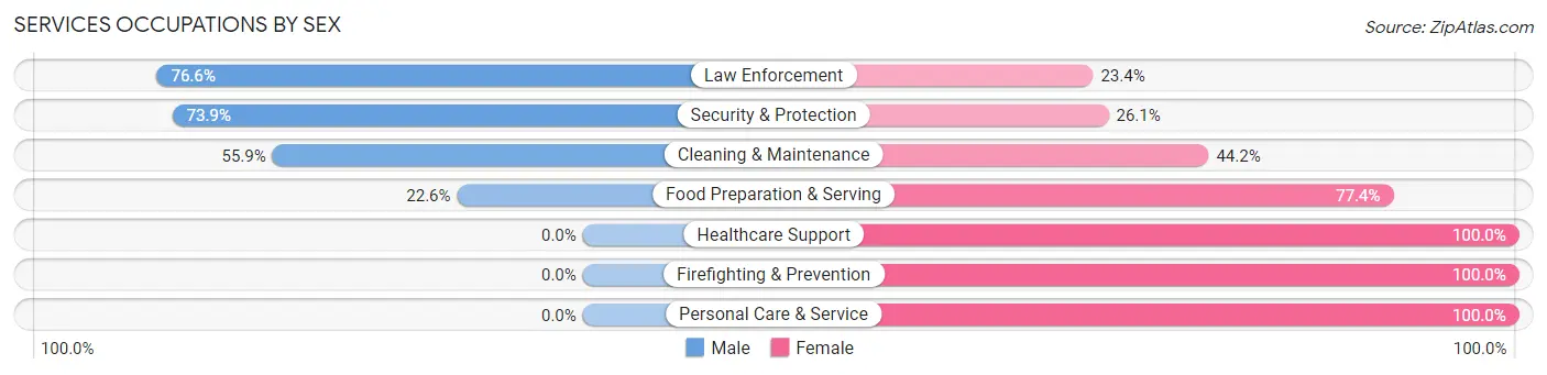 Services Occupations by Sex in Zip Code 32626
