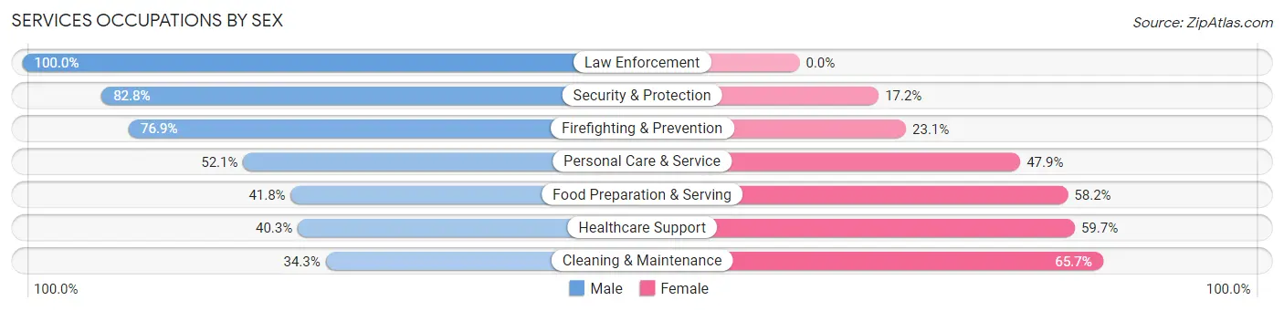 Services Occupations by Sex in Zip Code 32829
