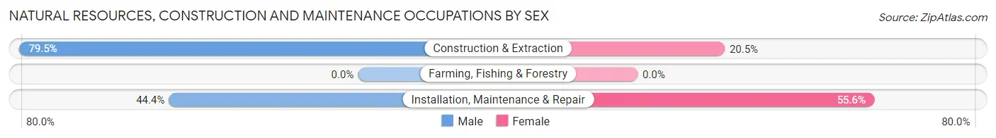 Natural Resources, Construction and Maintenance Occupations by Sex in Zip Code 33154