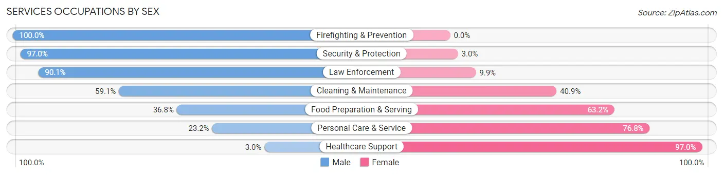 Services Occupations by Sex in Zip Code 33174
