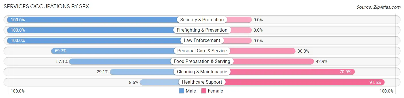 Services Occupations by Sex in Zip Code 33182