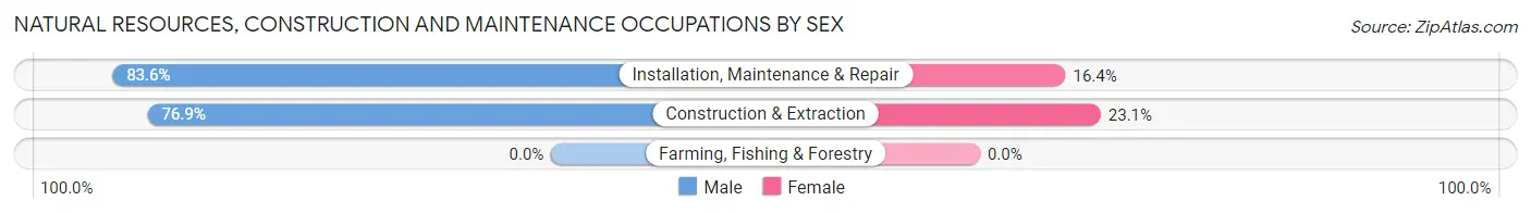 Natural Resources, Construction and Maintenance Occupations by Sex in Zip Code 33306