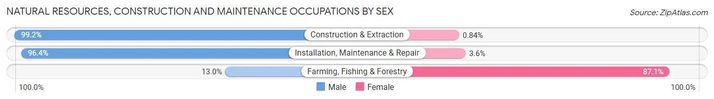Natural Resources, Construction and Maintenance Occupations by Sex in Zip Code 33460