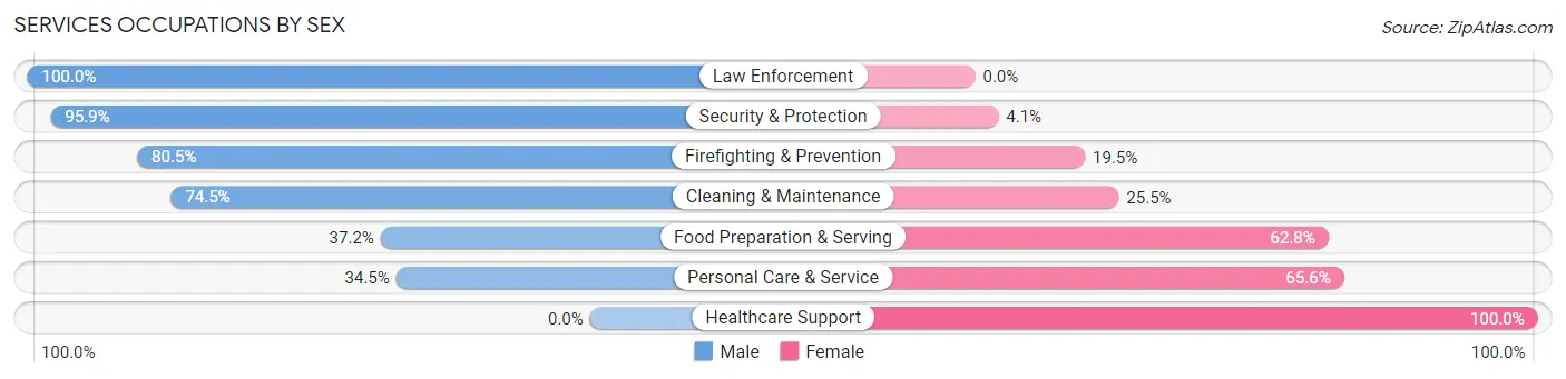 Services Occupations by Sex in Zip Code 33498