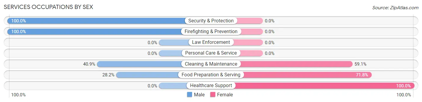 Services Occupations by Sex in Zip Code 33521