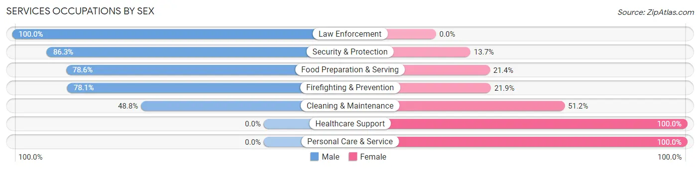Services Occupations by Sex in Zip Code 33540