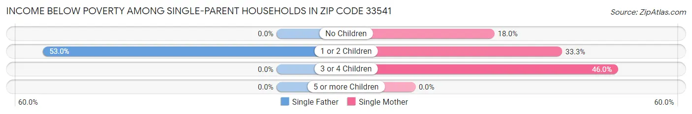 Income Below Poverty Among Single-Parent Households in Zip Code 33541