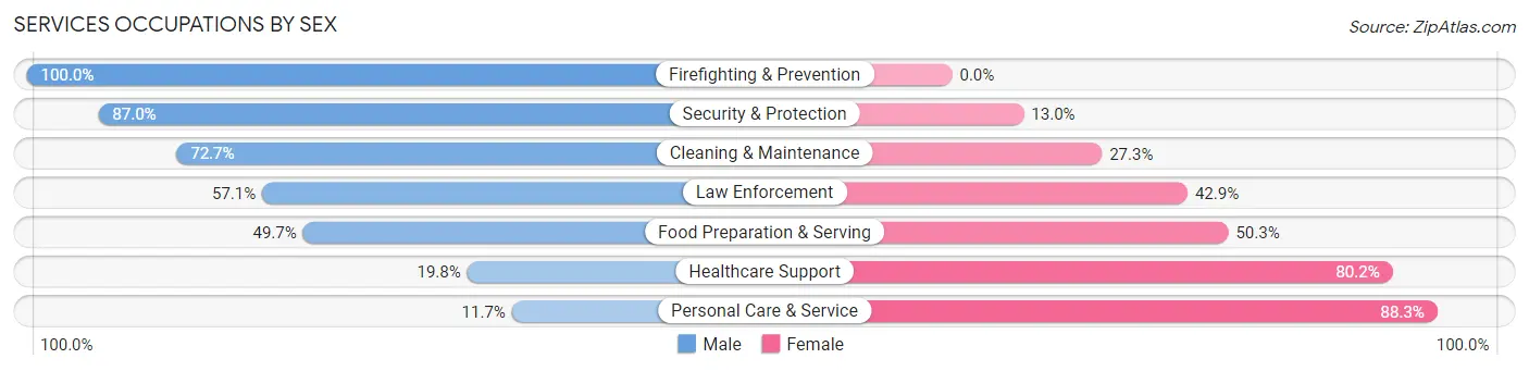 Services Occupations by Sex in Zip Code 33541