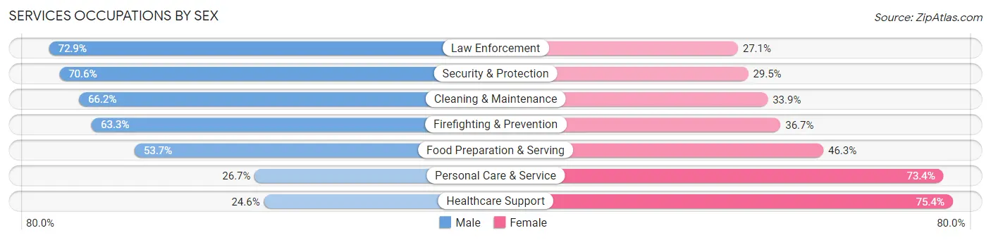Services Occupations by Sex in Zip Code 33569