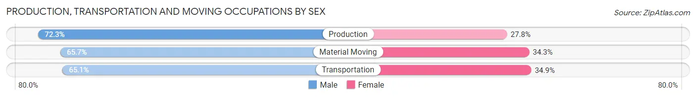 Production, Transportation and Moving Occupations by Sex in Zip Code 33573