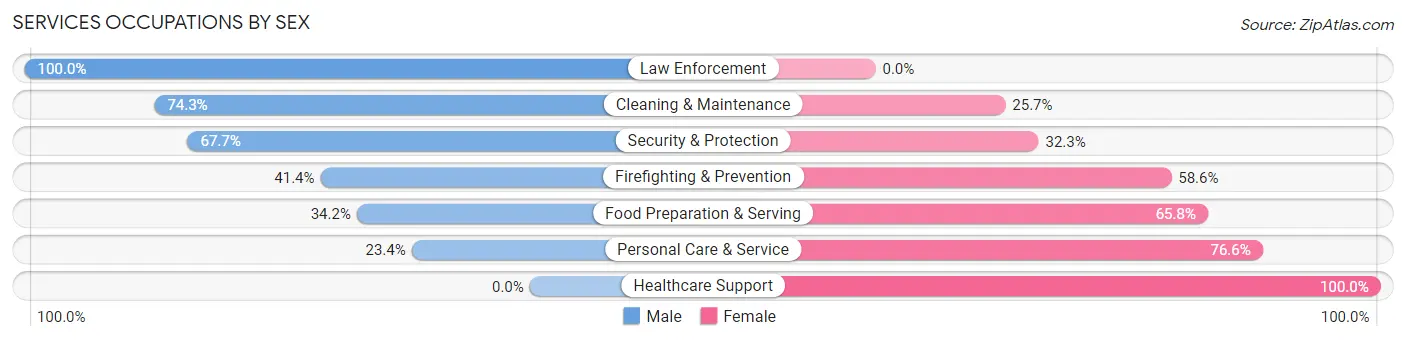 Services Occupations by Sex in Zip Code 33573