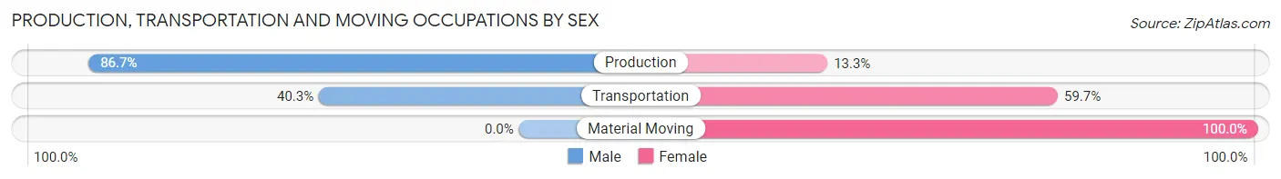 Production, Transportation and Moving Occupations by Sex in Zip Code 33585