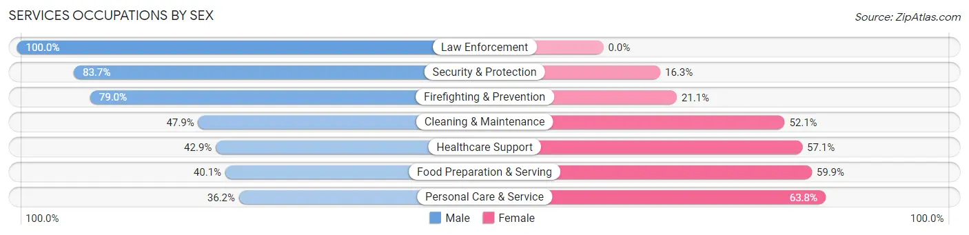 Services Occupations by Sex in Zip Code 33603