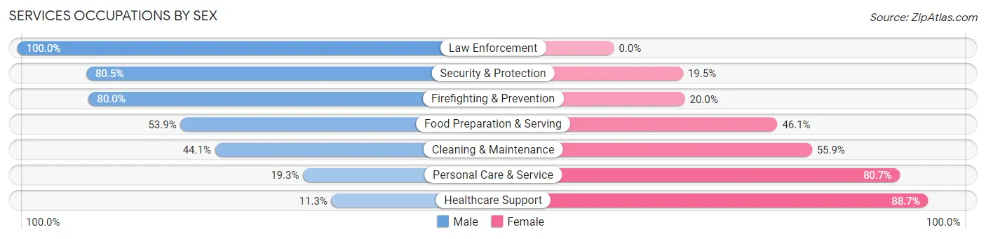 Services Occupations by Sex in Zip Code 33604