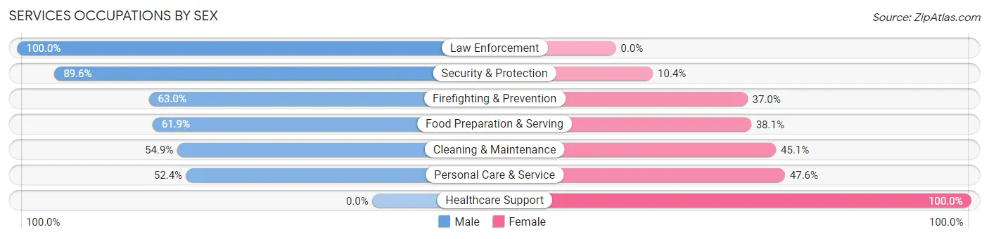 Services Occupations by Sex in Zip Code 33609