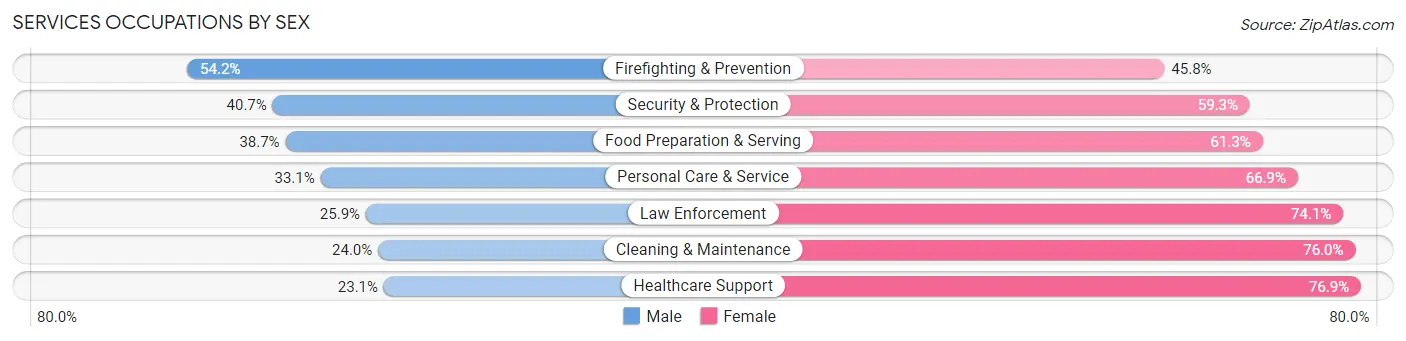 Services Occupations by Sex in Zip Code 33702