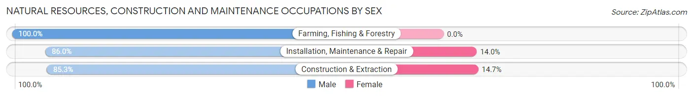 Natural Resources, Construction and Maintenance Occupations by Sex in Zip Code 33776
