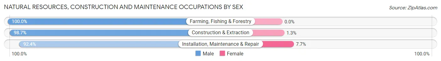 Natural Resources, Construction and Maintenance Occupations by Sex in Zip Code 34114