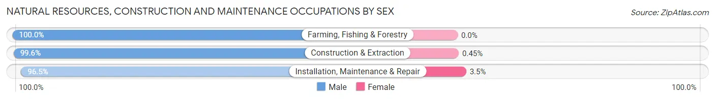 Natural Resources, Construction and Maintenance Occupations by Sex in Zip Code 34116