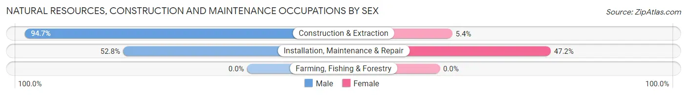 Natural Resources, Construction and Maintenance Occupations by Sex in Zip Code 34119