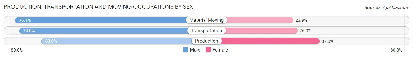 Production, Transportation and Moving Occupations by Sex in Zip Code 34689