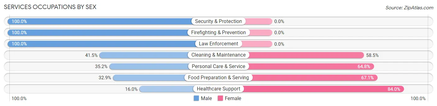 Services Occupations by Sex in Zip Code 34691