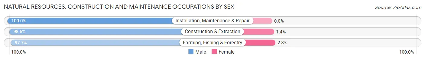 Natural Resources, Construction and Maintenance Occupations by Sex in Zip Code 34748