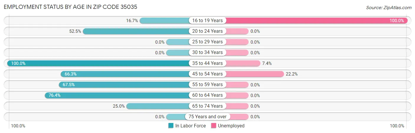 Employment Status by Age in Zip Code 35035