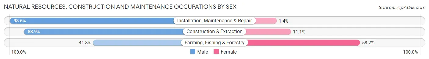Natural Resources, Construction and Maintenance Occupations by Sex in Zip Code 35058