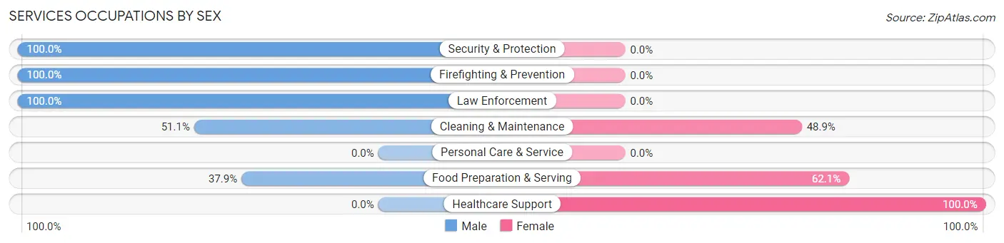 Services Occupations by Sex in Zip Code 35091